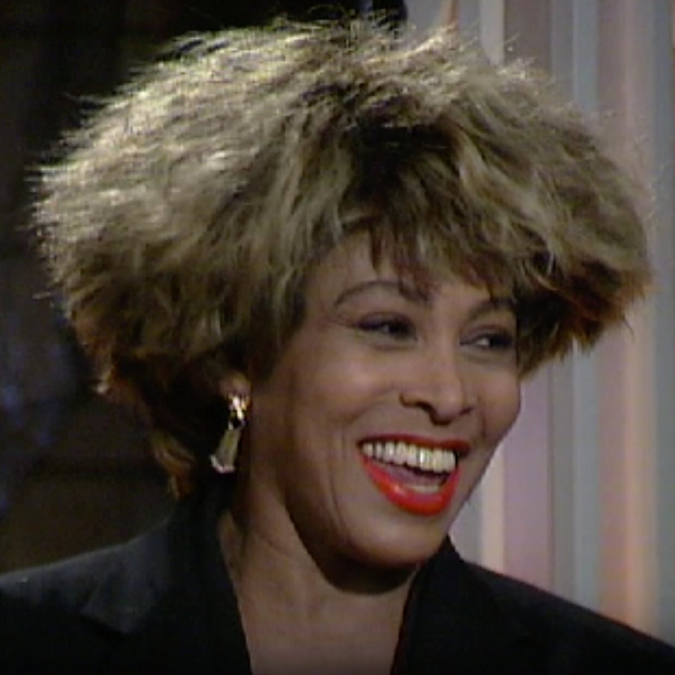 Tina Turner as the Architect of Modern Rock Performance