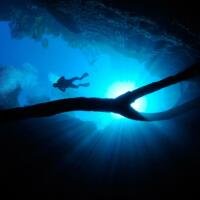 Preserving Mystery as a Strategic Moat for Durable Value