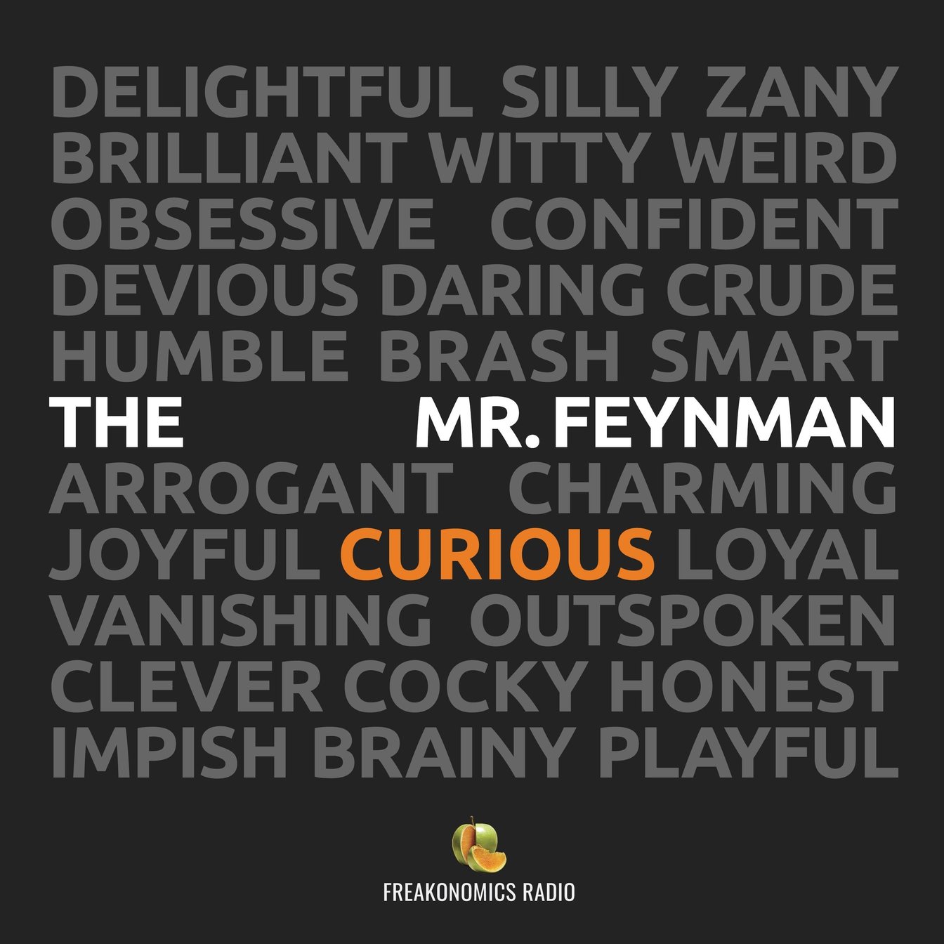 Feynman's Rigor: Uncovering Hidden Costs of Flawed Reasoning