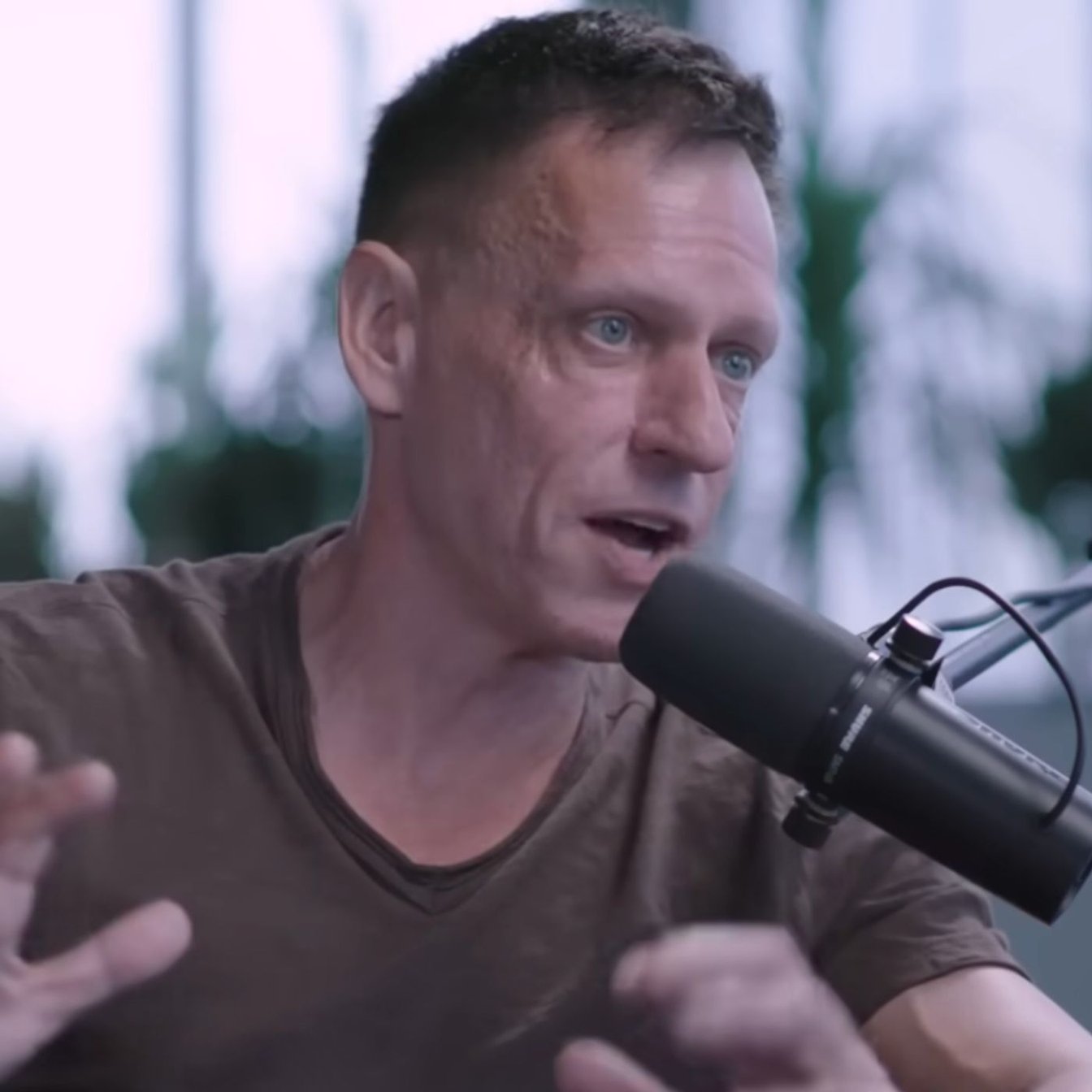 Thiel Rebrands Stagnation as Salvation Through Antichrist Narrative