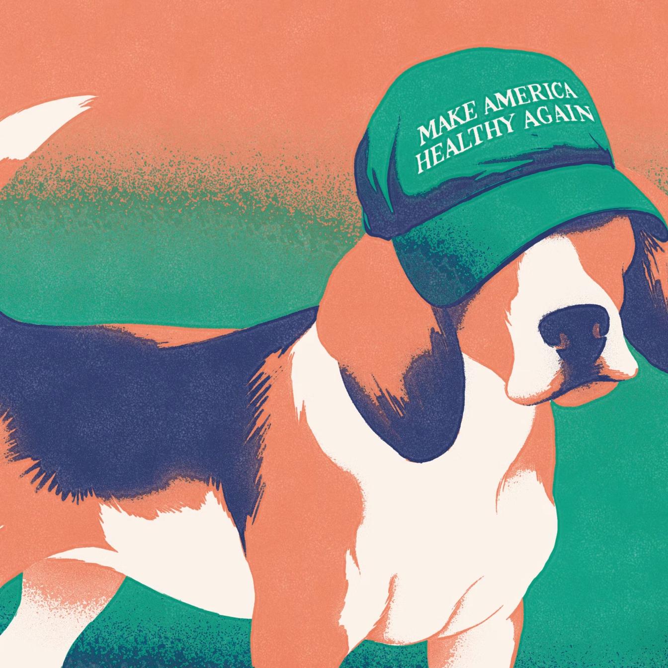 How Conspiratorial Populism Obscures Systemic Drivers of Cruelty