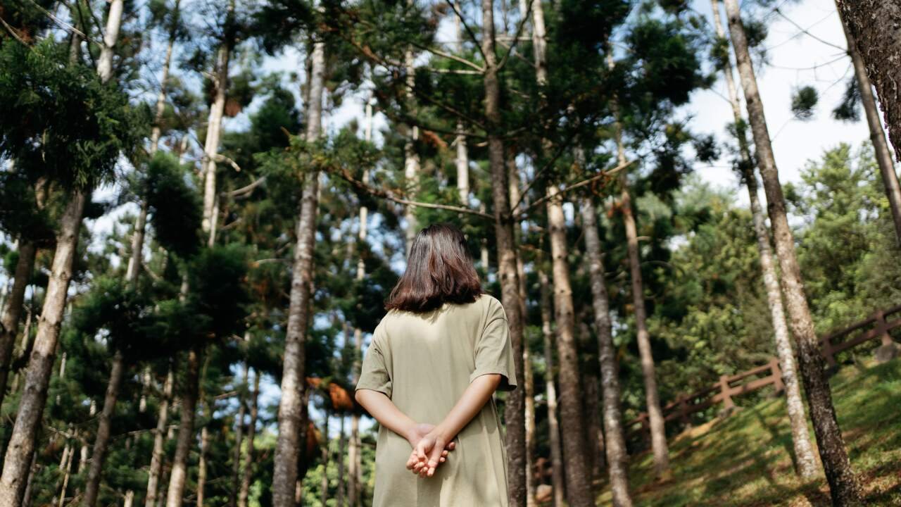 Nature Immersion: Radical Self-Preservation Through Stillness