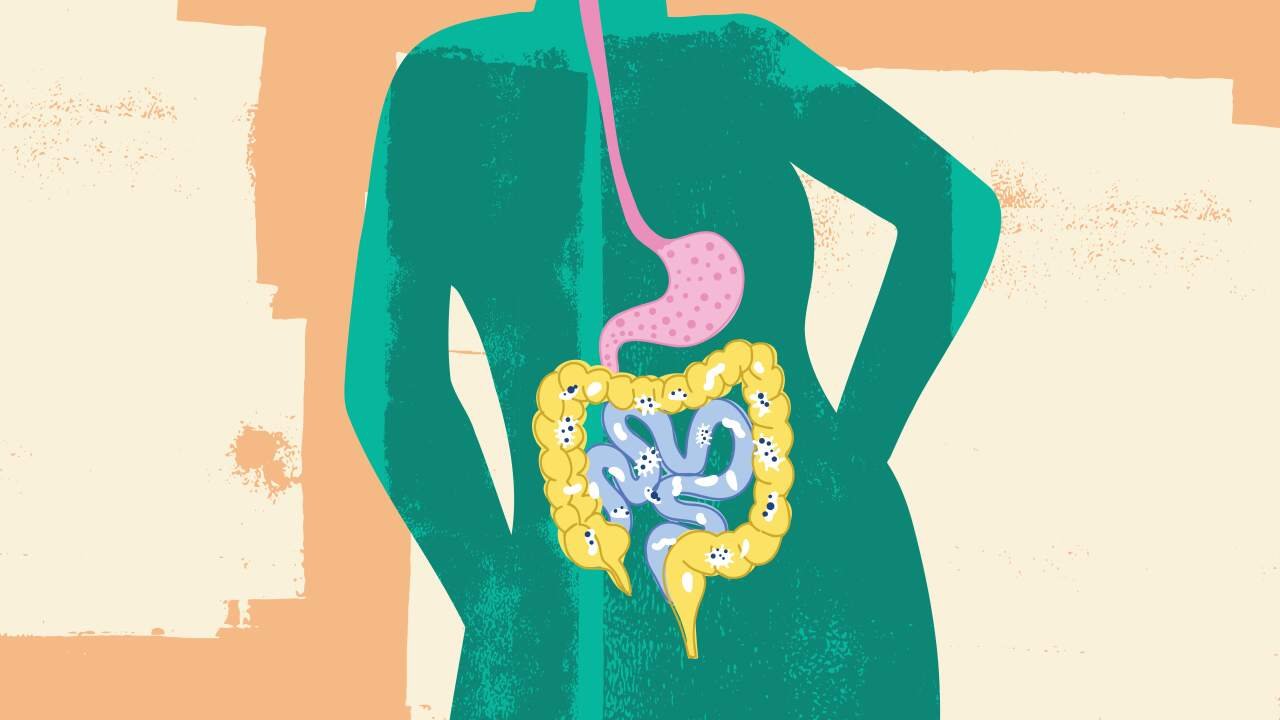 Prioritizing Foundational Habits Over Commercial Microbiome Optimization Tools