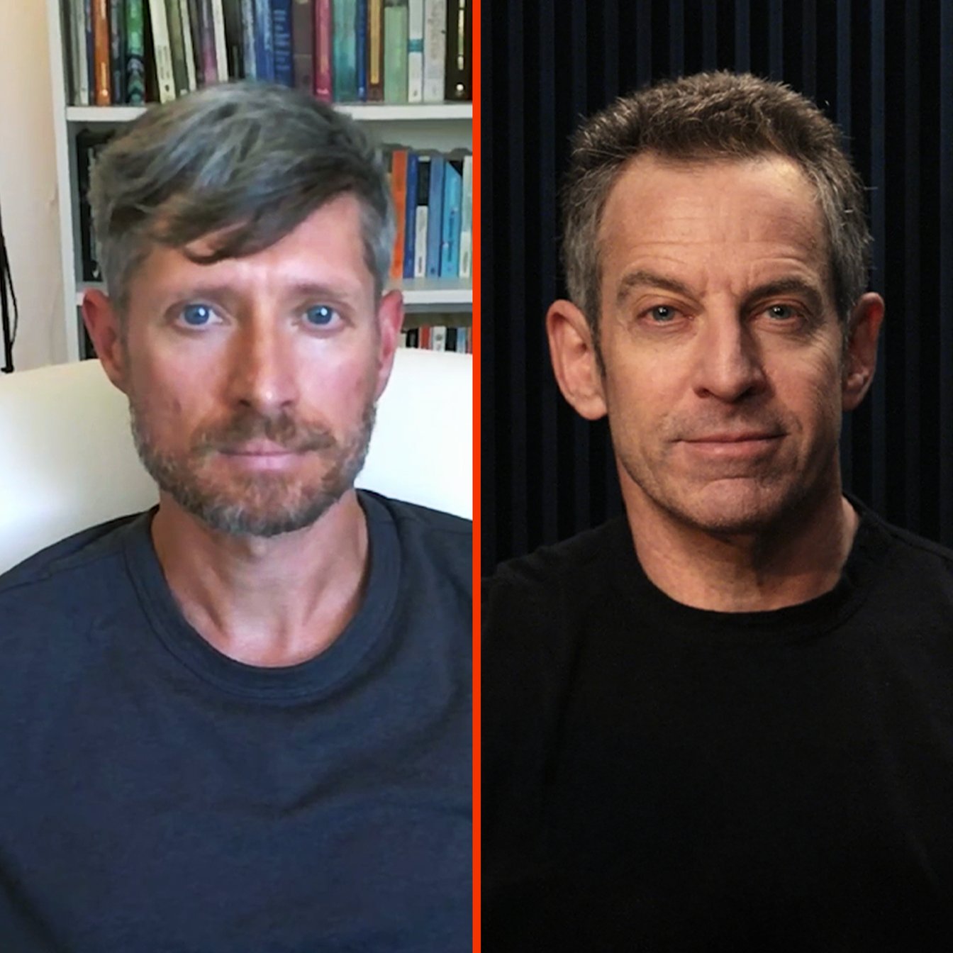 Psychedelics' Power Is Amplified by Therapeutic Context