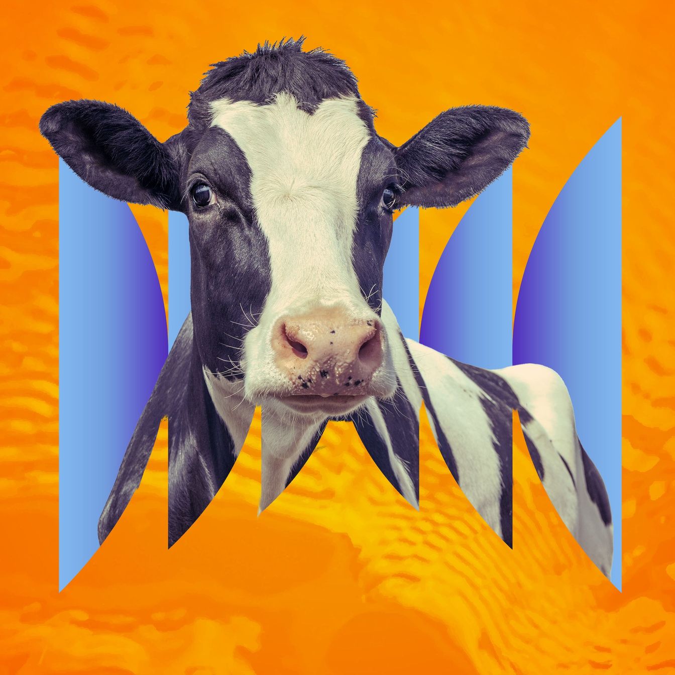 Stray Voltage Disrupts Farms by Challenging Electrical Safety Standards
