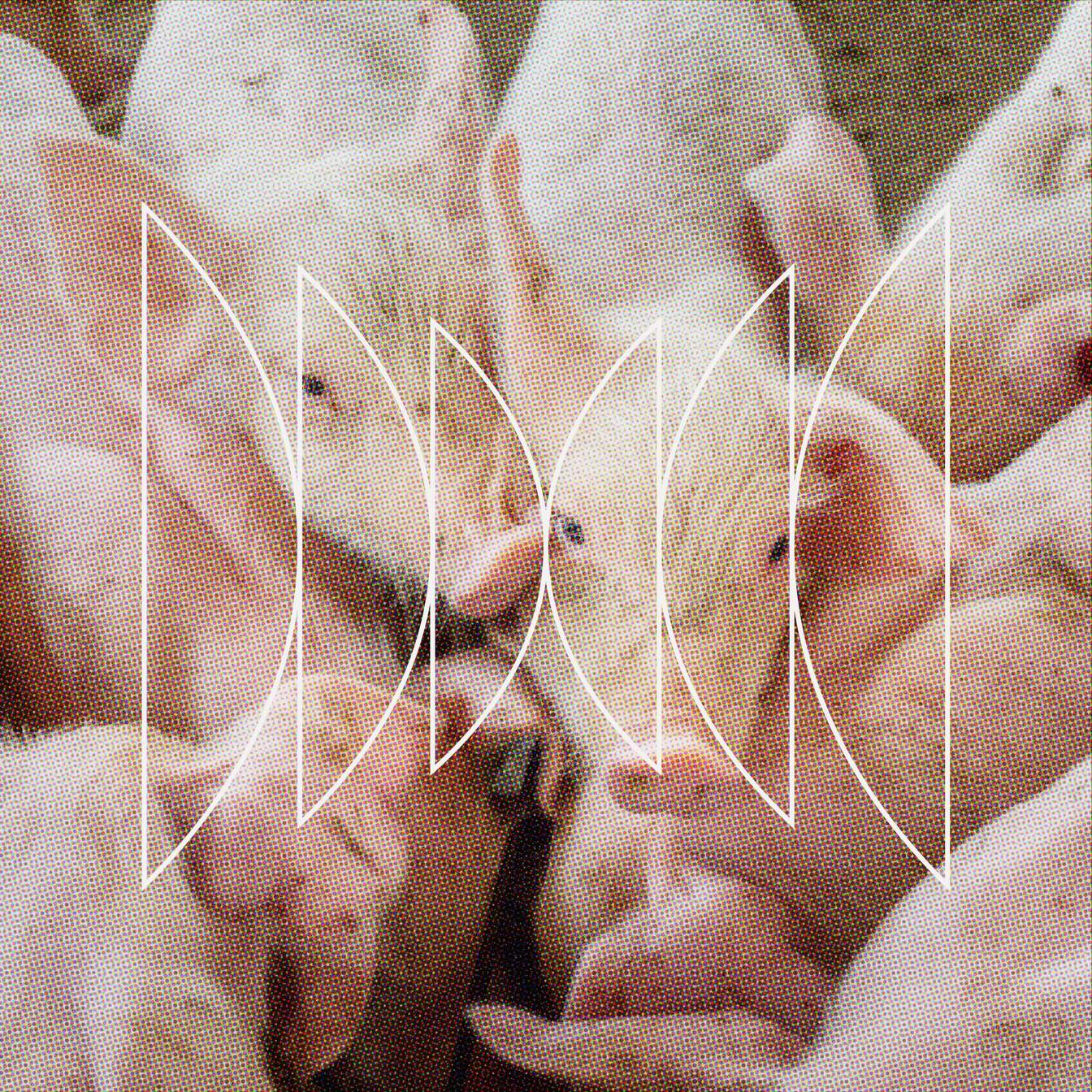Legal System's Struggle to Define Animal Value in Property Law