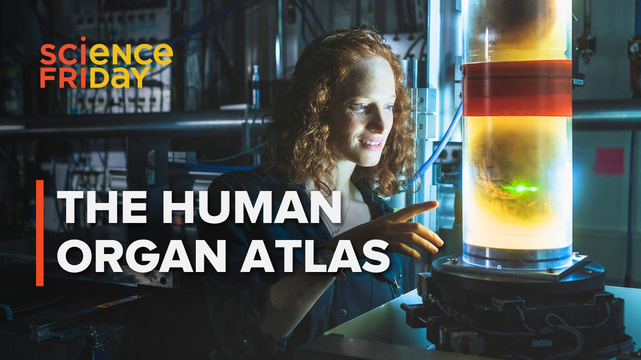 Particle Accelerators Enable Paradigm Shift in Organ Imaging