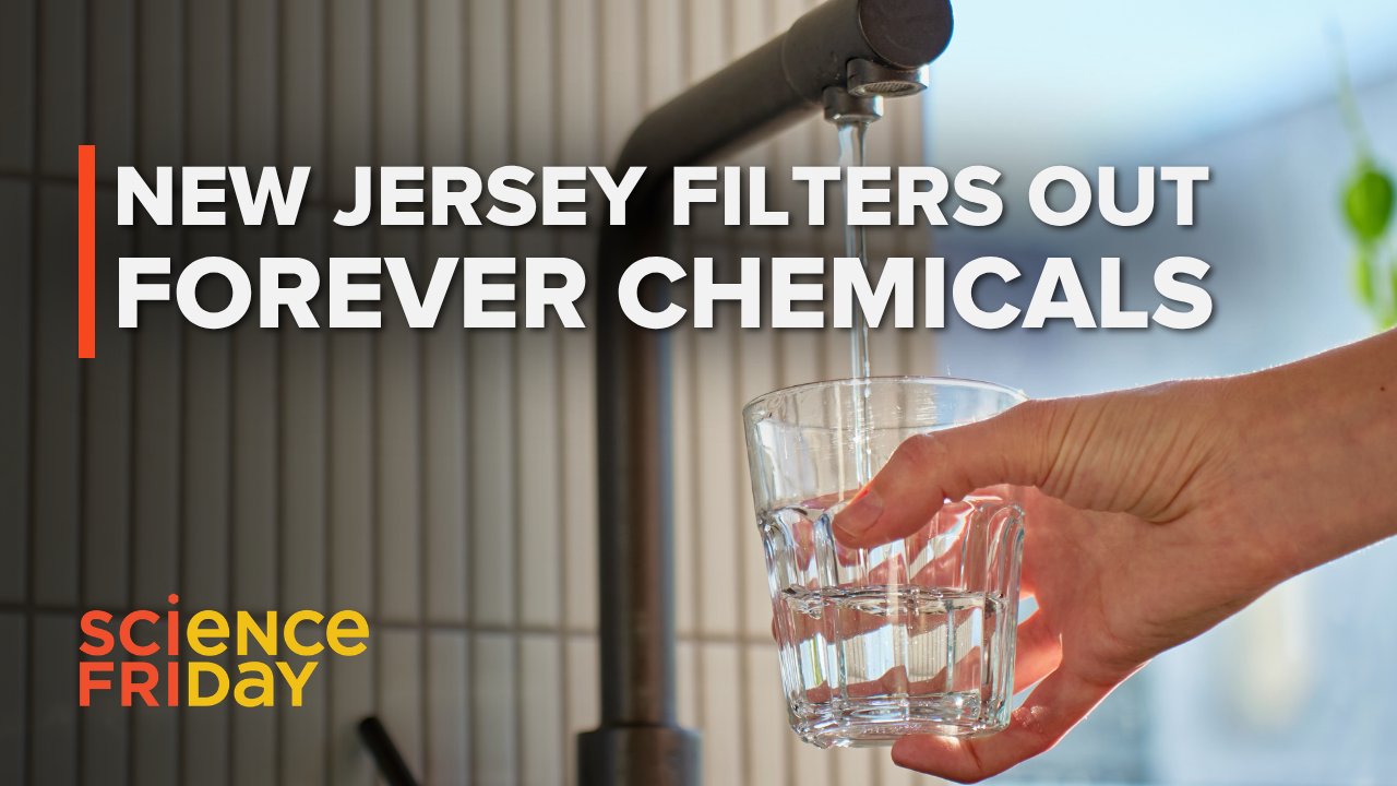 New Jersey's PFAS Regulation: Unveiling Long-Term Health Risks