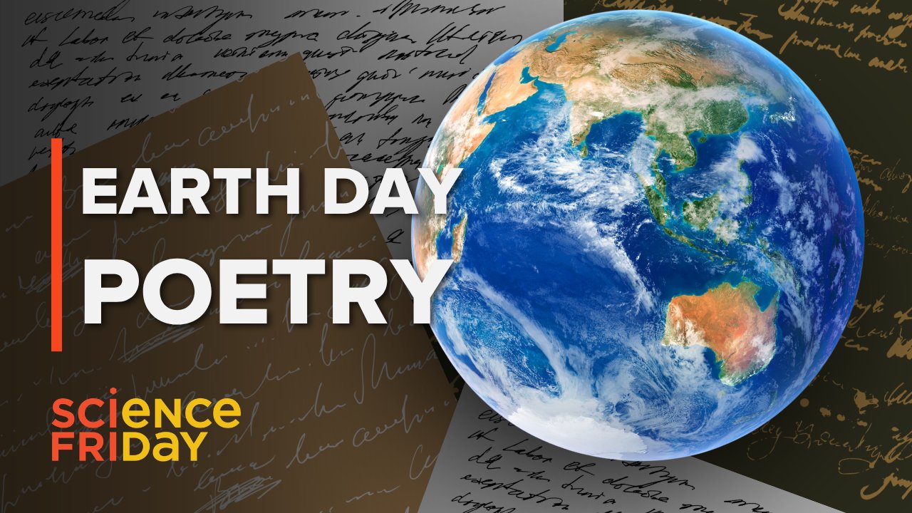 Poetry's Active Attention Creates Meaning Beyond Cliché