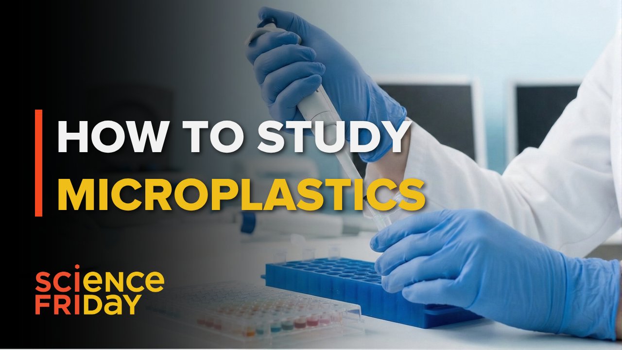 Plastic Lab Contamination Warps Microplastic Research Findings