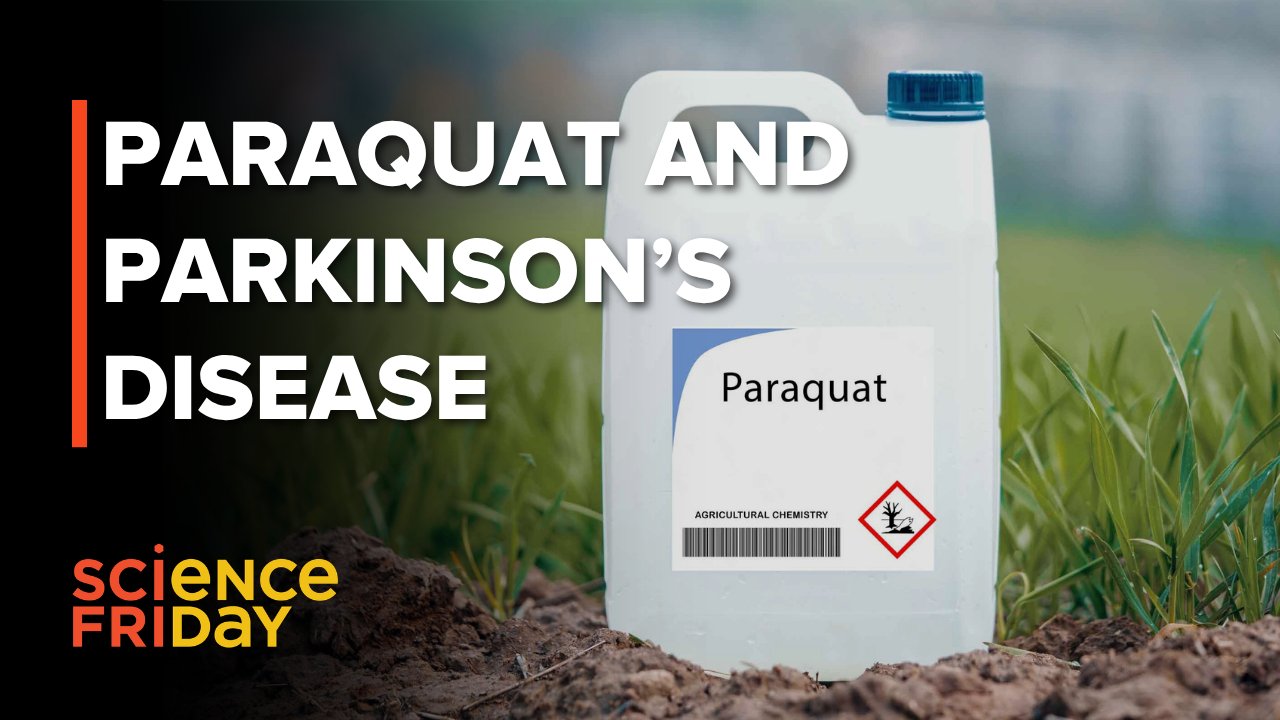 Regulatory Failures and the Atmospheric Toxicity of Paraquat