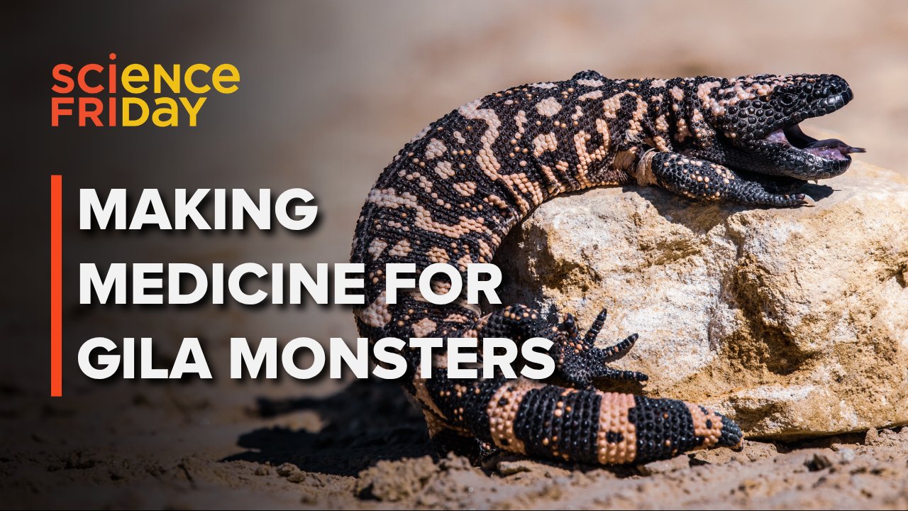 Designing Species-Specific Drugs for Durable Ecological Conservation
