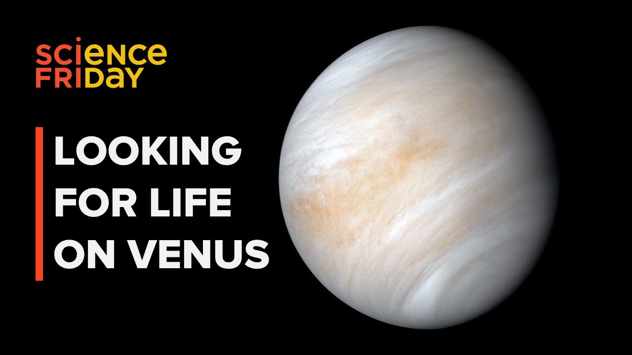 How Venus’s Harsh Clouds Are Forging Earth’s Next-Gen Biosensors