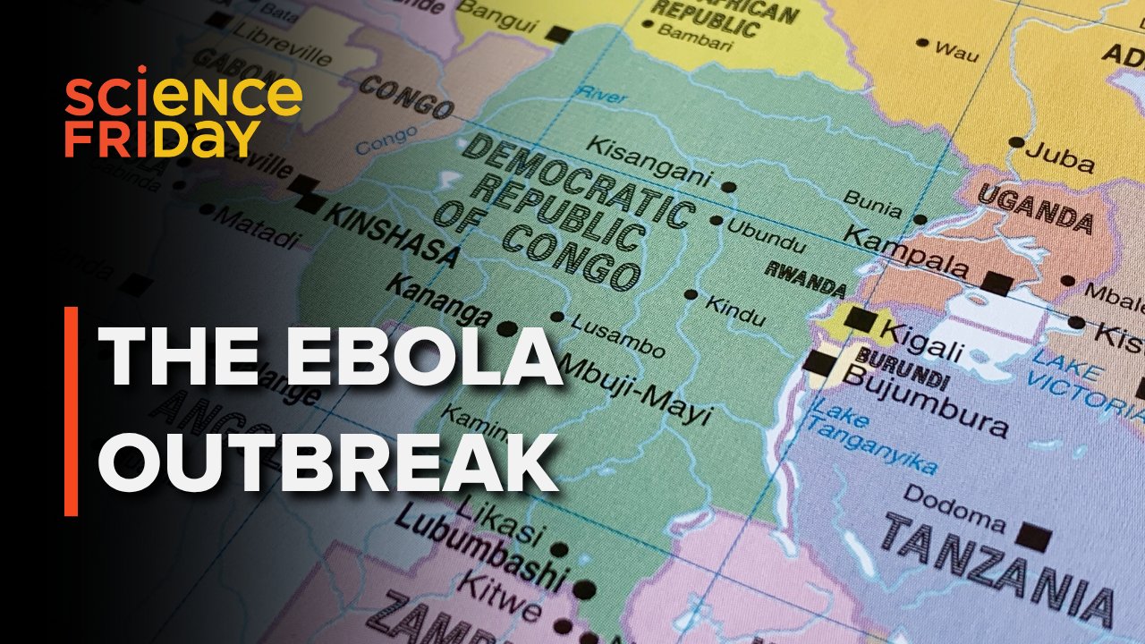 African Genomic Sovereignty Beats Reactive Pandemic Response