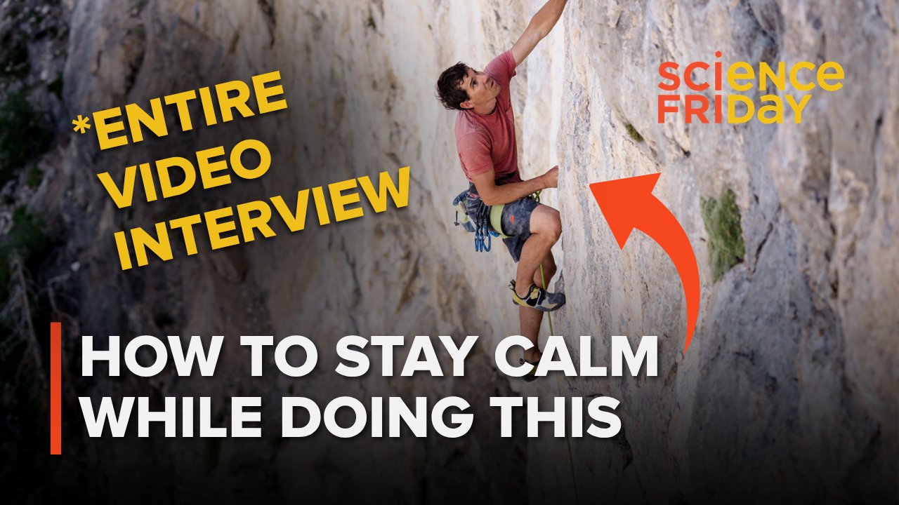 How Elite Performers Build a Rational Relationship With Fear