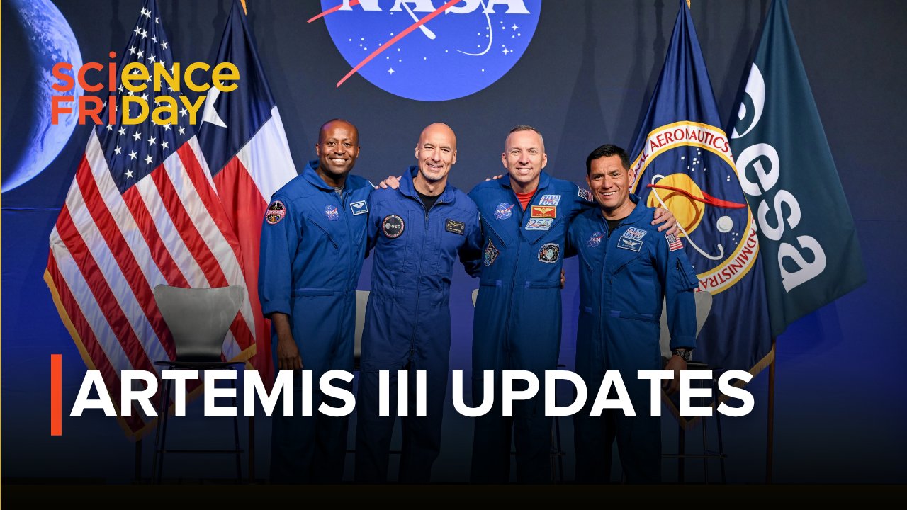 Political Deadlines and Systemic Fragility in Artemis Mission Planning