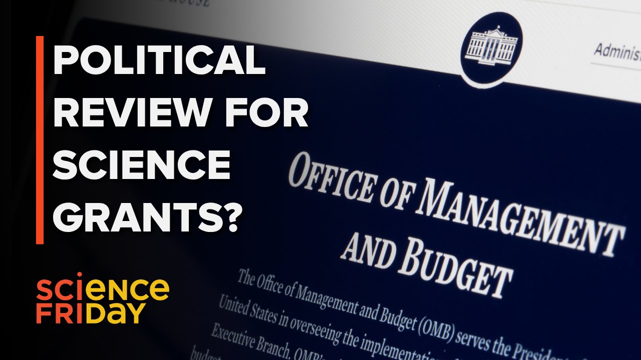OMB Rule Changes Threaten Scientific Meritocracy Through Political Gatekeeping