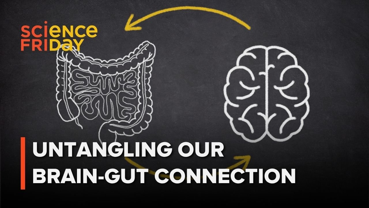Adopting Systems Biology to Detect Neurodegeneration via Gut Health