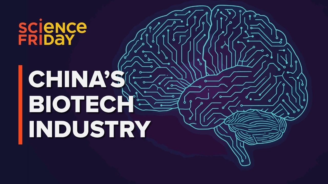 China's Biotech Efficiency Shift Challenges Global Innovation Models