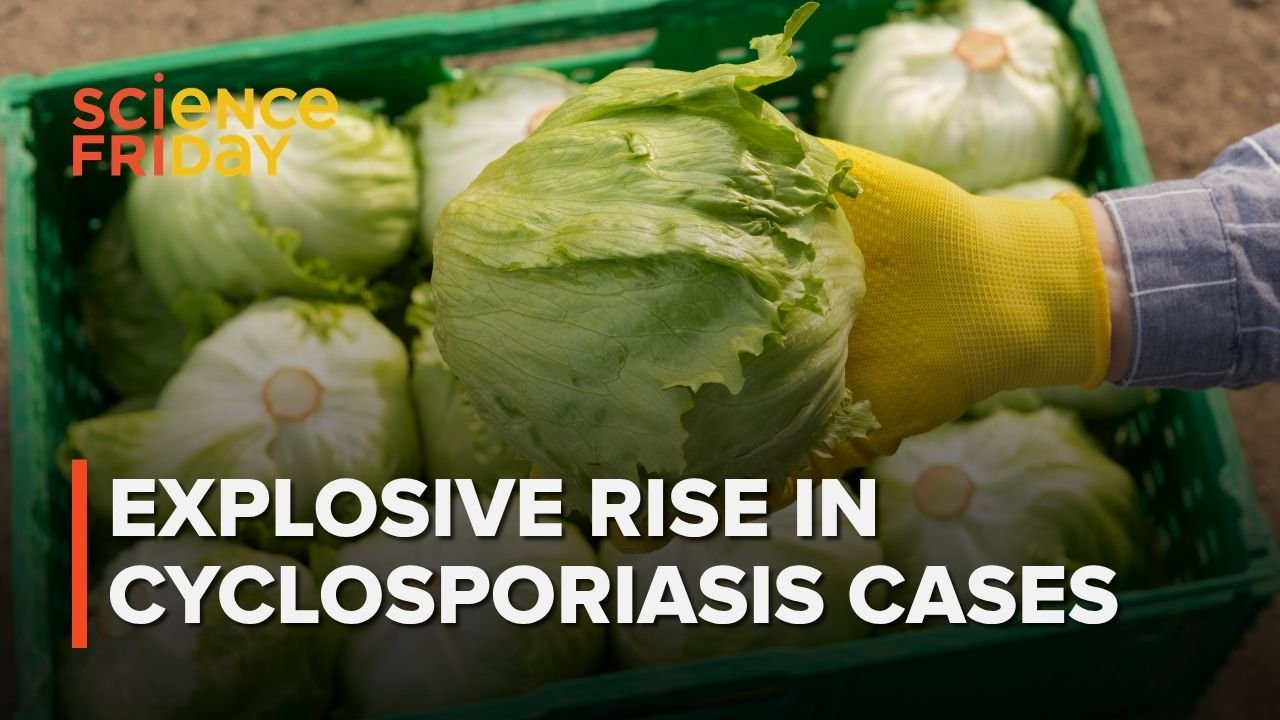 Centralized Processing Multiplies Risk in Leafy Green Outbreaks