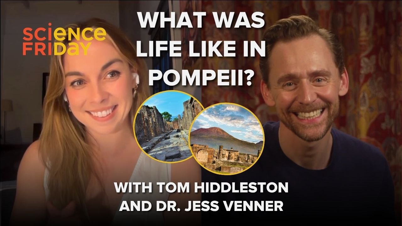 Pompeii as a Case Study in Adaptive Systemic Response