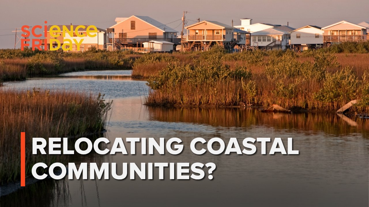 Transitioning Coastal Cities Through Proactive Intentional Transformation