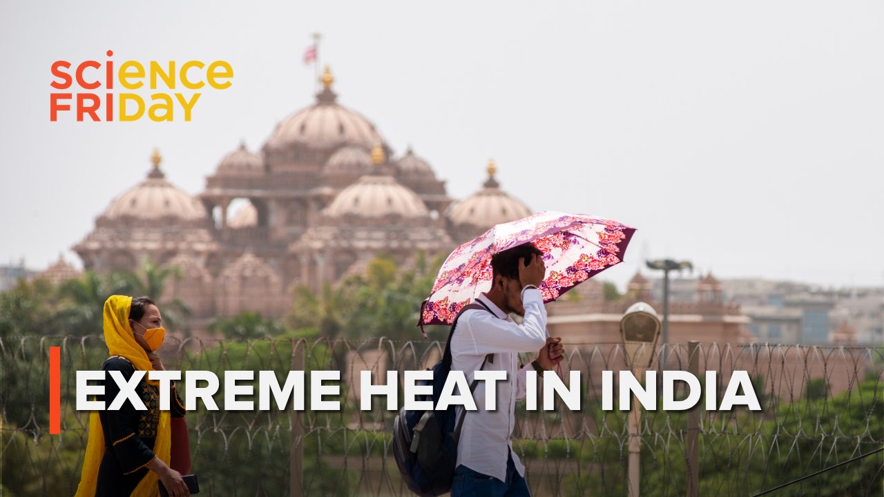 Addressing India's Heat Crisis Through Infrastructure and Behavioral Adaptation