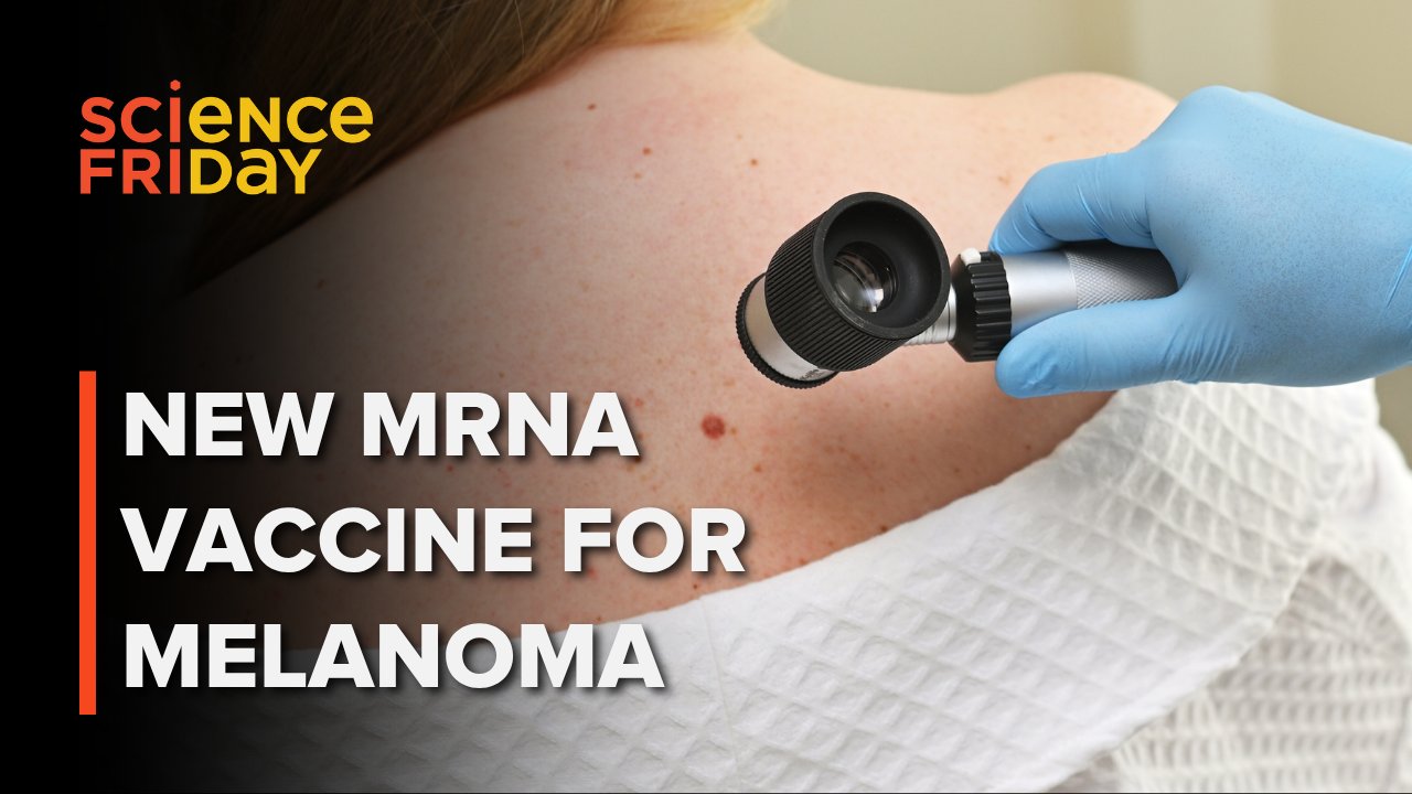 Mastering Logistical Infrastructure for Bespoke mRNA Cancer Therapies