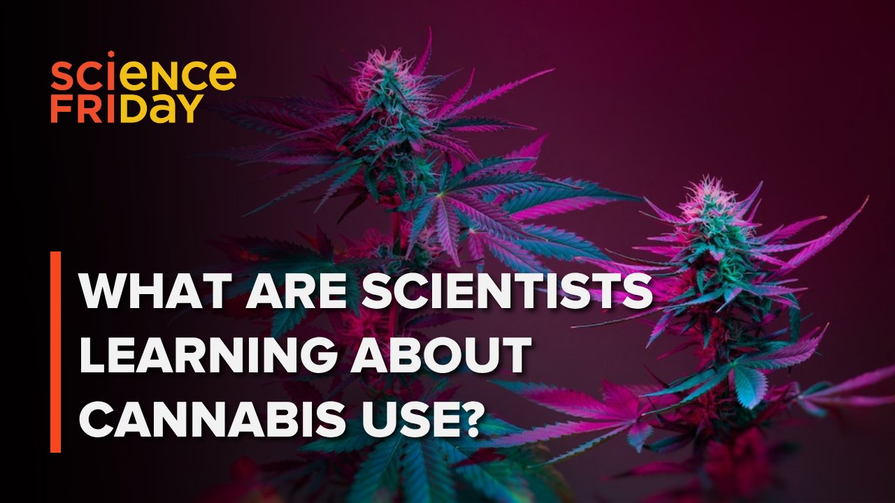 Moving From Retail Cannabis Markets To Evidence--Based Medicine