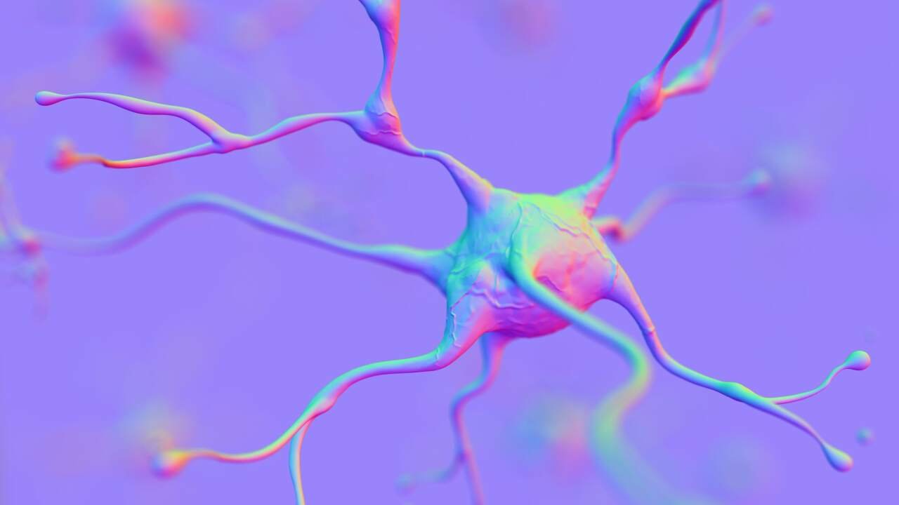Direct Neural Measurement Revolutionizes Brain Health Treatment
