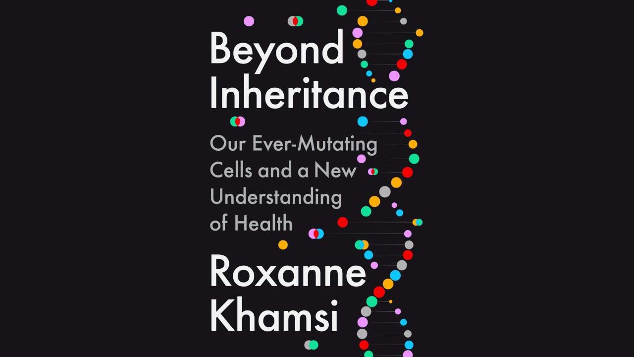 Mutation Is Strategy, Not Noise -- Rewriting Genetic Identity