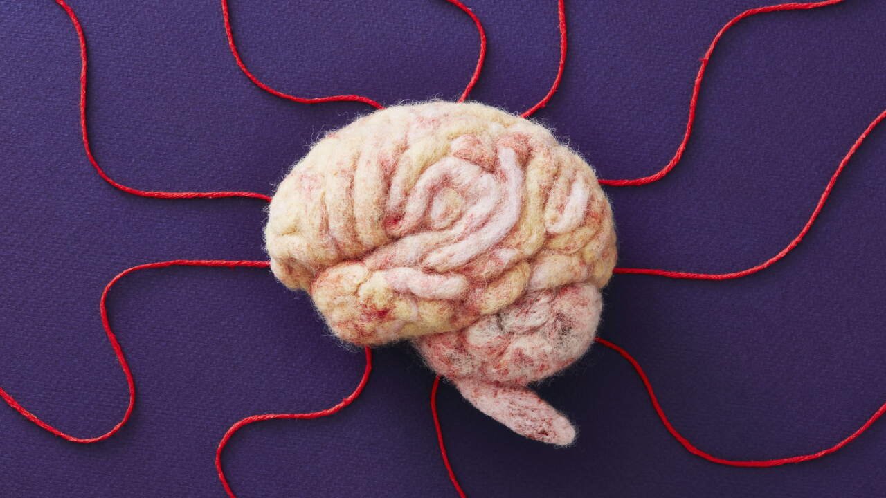 Extended Brain Development as a Strategic Evolutionary Advantage