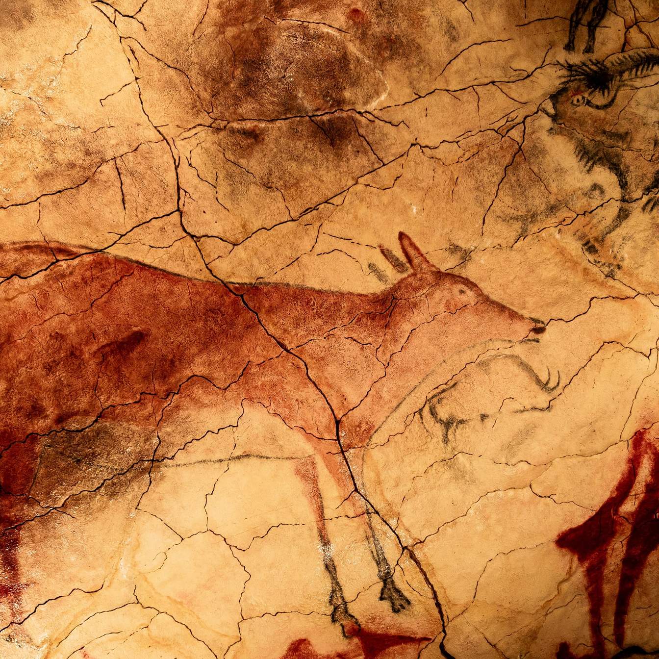 Modernity Bias Distorts Interpretations of Ancient Paleolithic Innovation