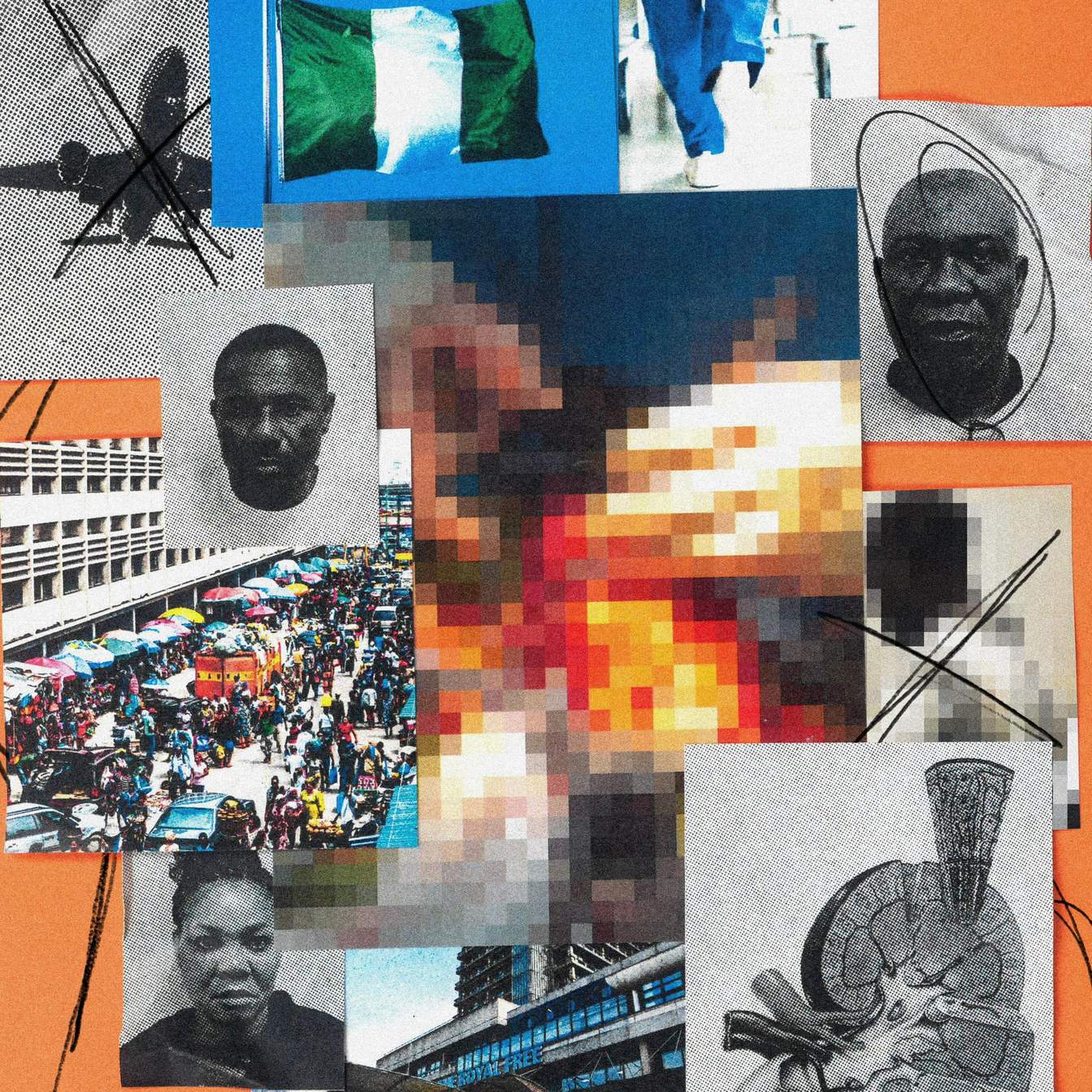 How Institutional Failures Enable Predatory Organ Trafficking Systems