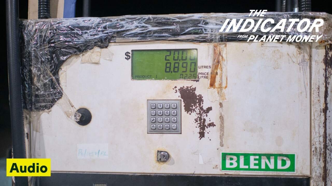 Foresight in Energy Diversity Creates National Resilience Against Oil Shocks