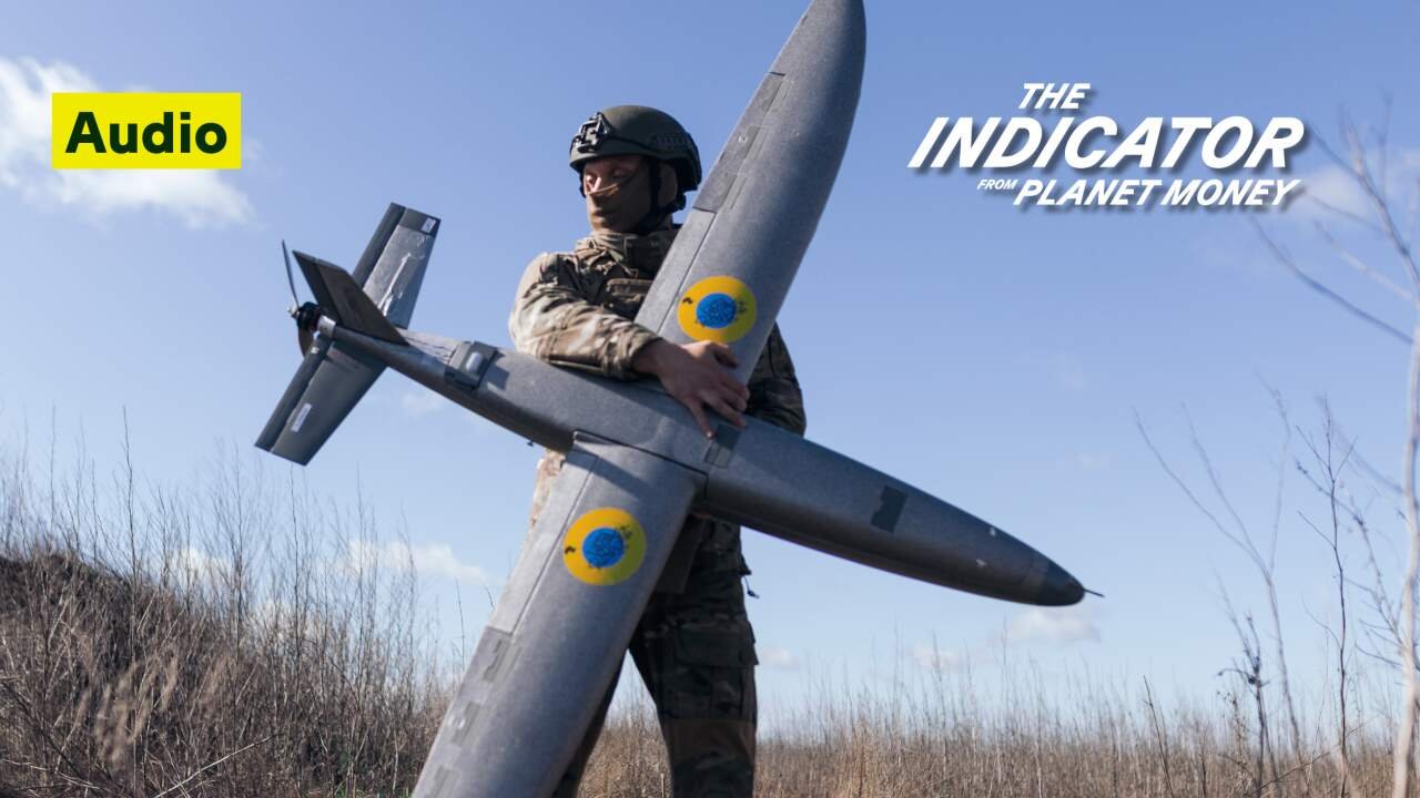Institutional Incentives Impede Adoption of Low-Cost Drone Technology