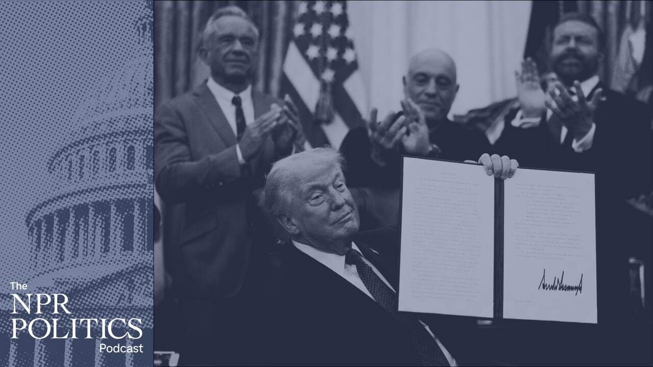 Trump Executive Order Expedites Psychedelic Research Amidst Shifting Political Alliances