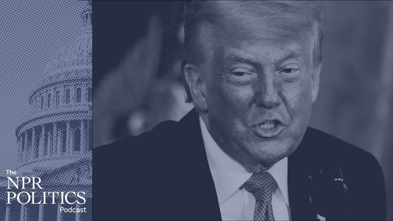 Trump's Endorsements Shape Primaries, Soften Broader Republican Appeal