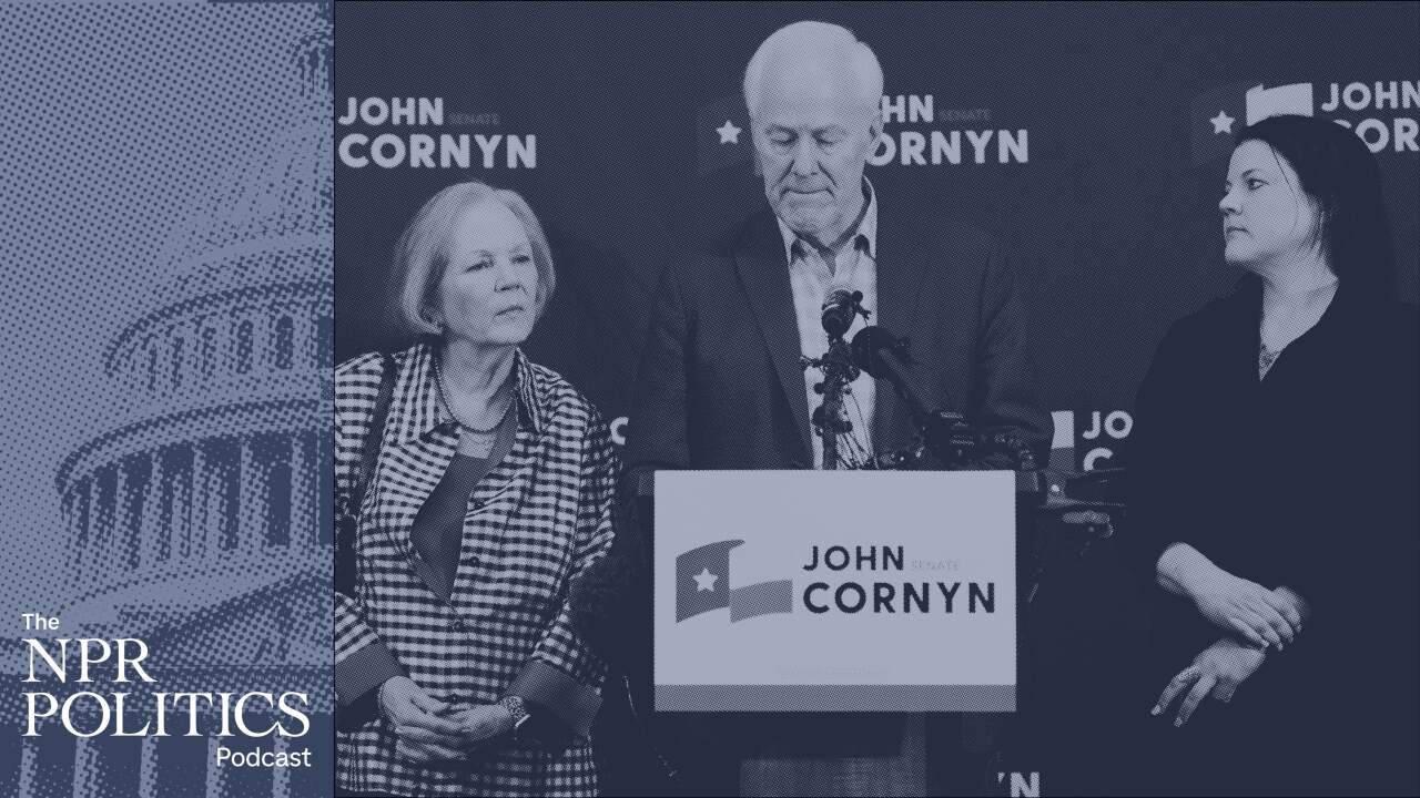 MAGA Reshaping Republican Party: Ousting Establishment Risks Broad Appeal