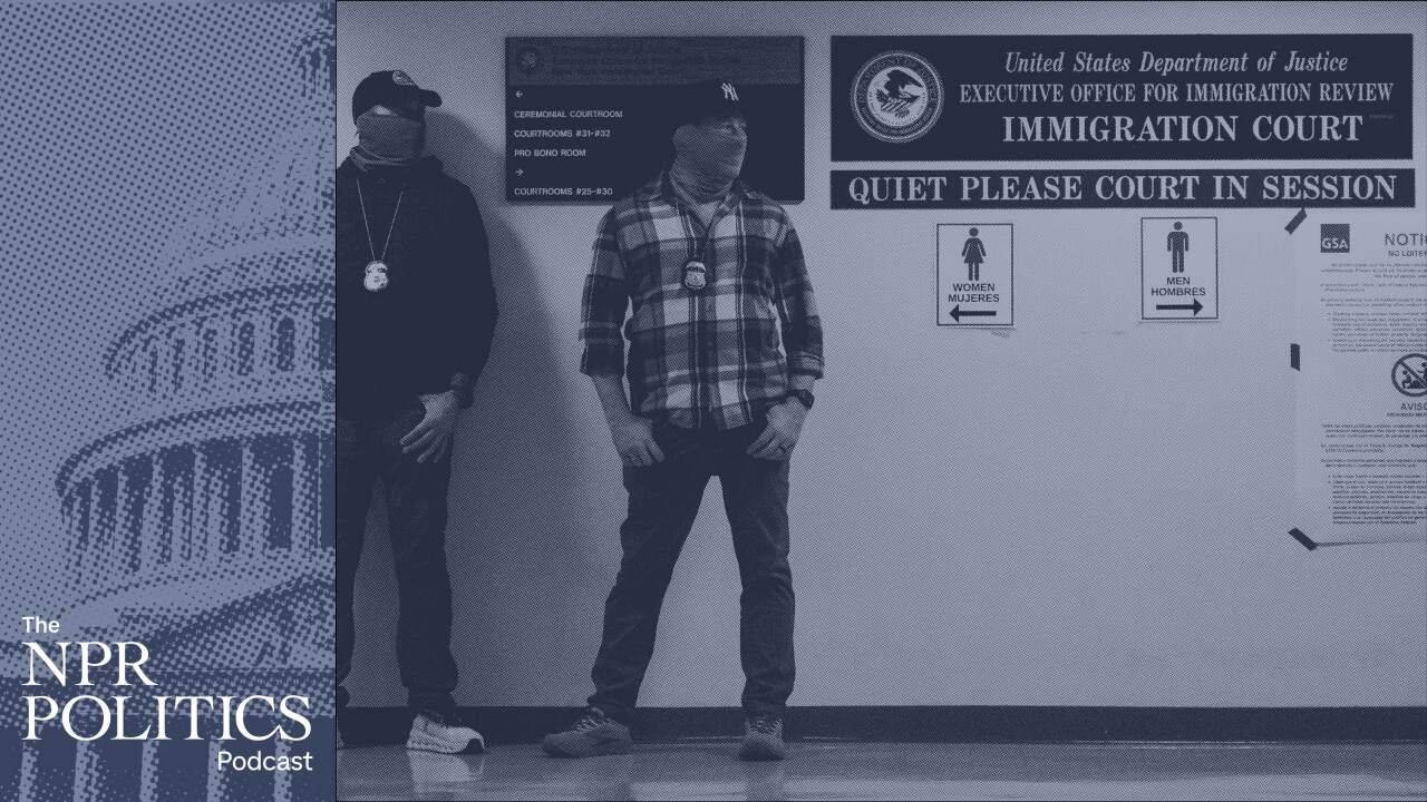 Bureaucratic Machinery Accelerates Deportations Beyond Public View