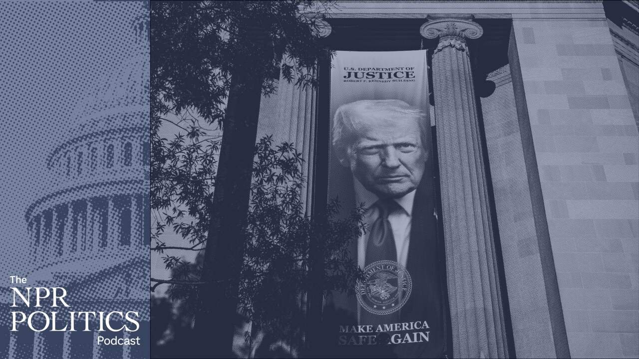 Executive Immunity and Fund Creation: Legal and Political Fallout