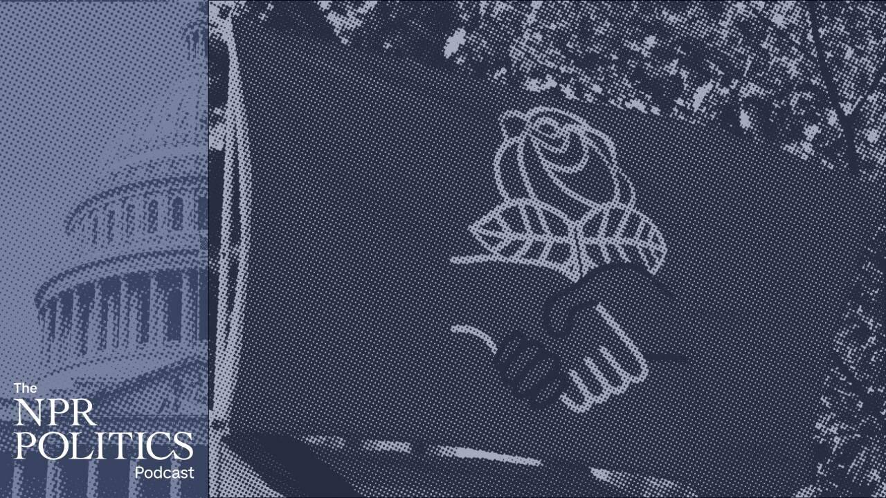 Leveraging Economic Populism to Navigate Democratic Socialist Branding