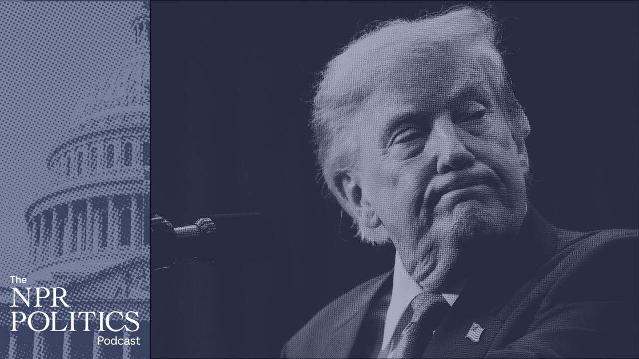 Using Administrative Friction to Systematize Immigration Removal