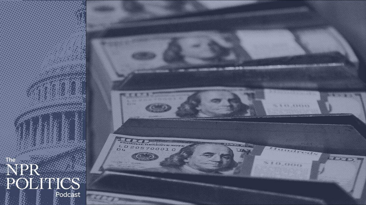 Why Campaign Spending Cannot Overcome Structural Voter Misalignment