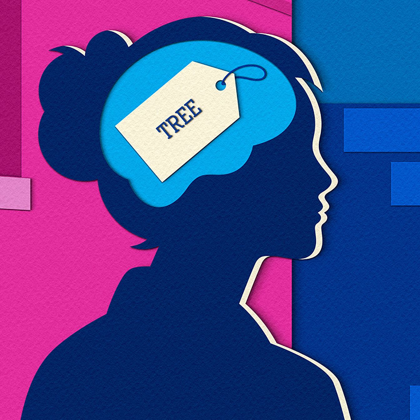 How Brains Construct Reality Through Survival--Driven Categorization