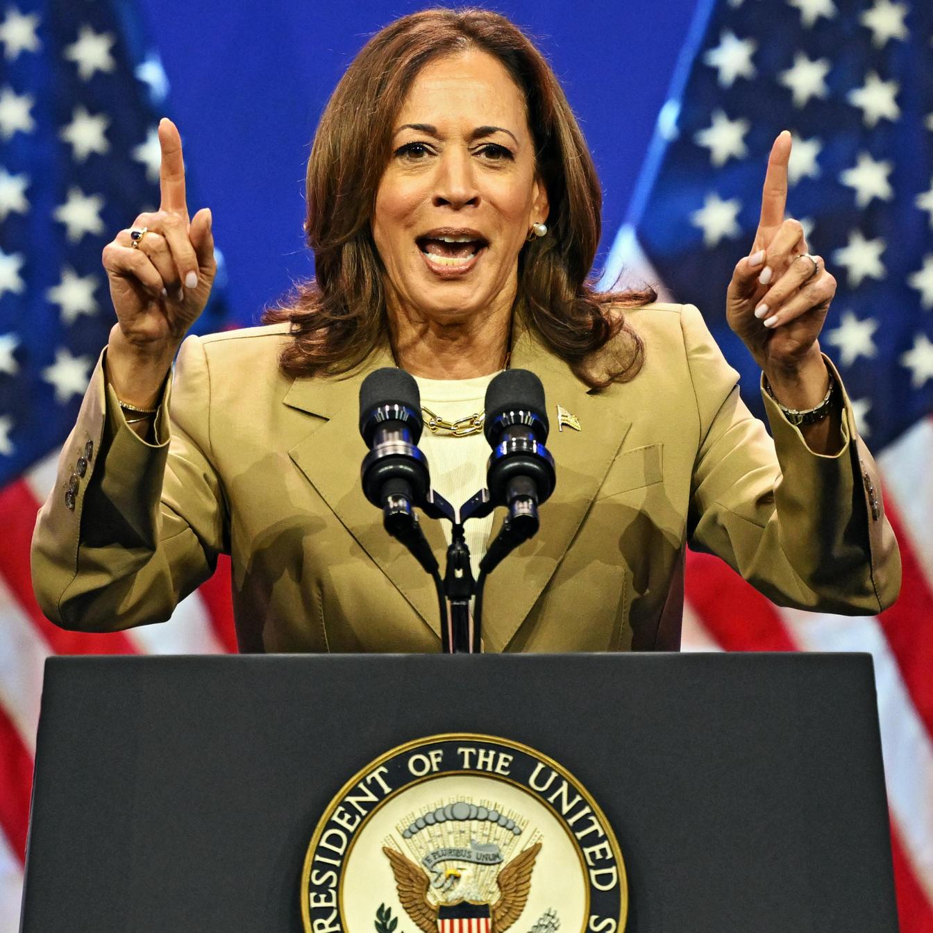 Why Polling Leads Mask Structural Risks for Harris
