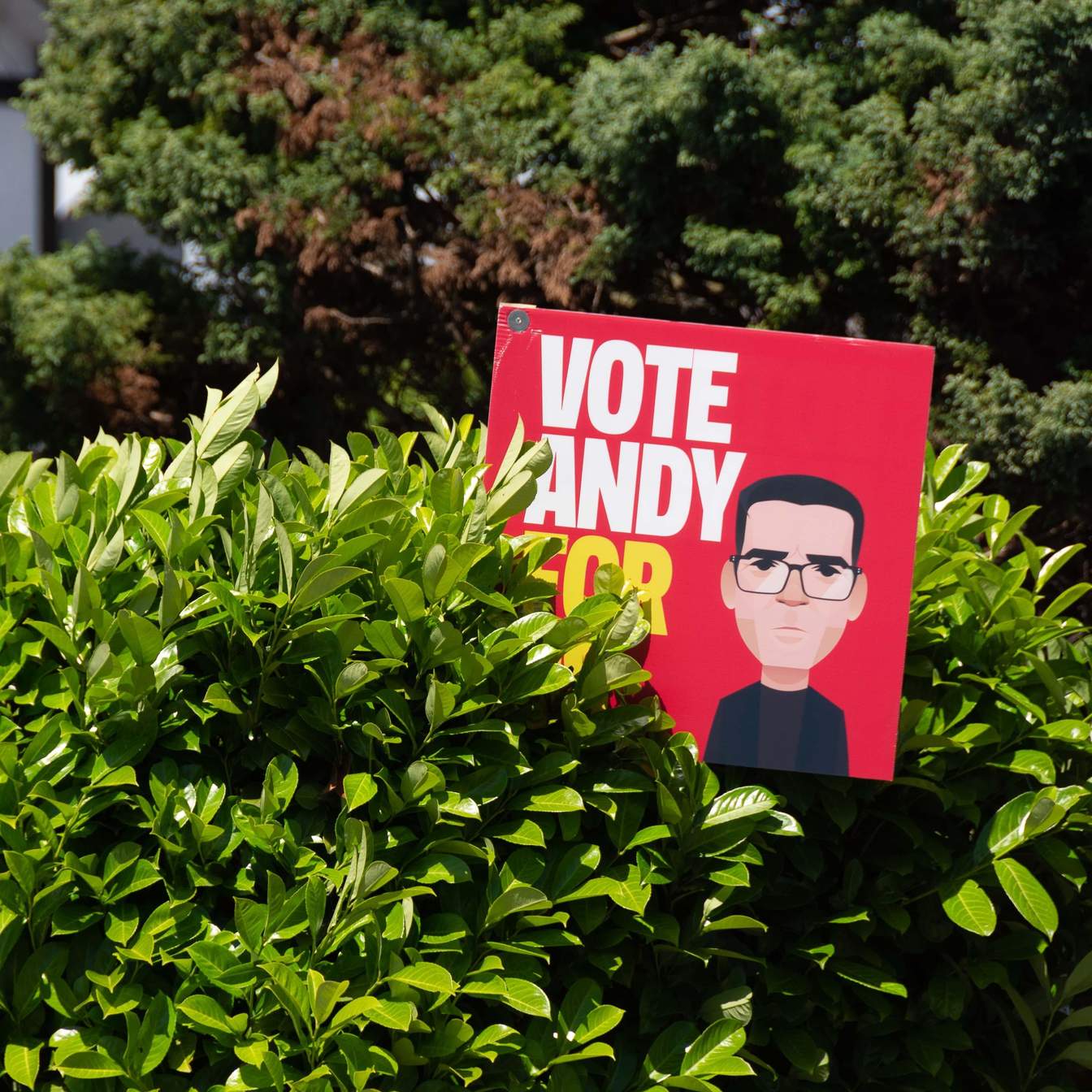 Systems Dynamics of Political Branding and Insurgent Scaling