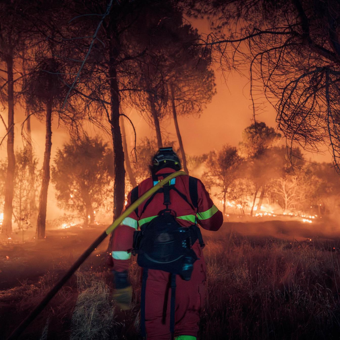 Systemic Failures in Managing Climate-Driven Wildfire Risks