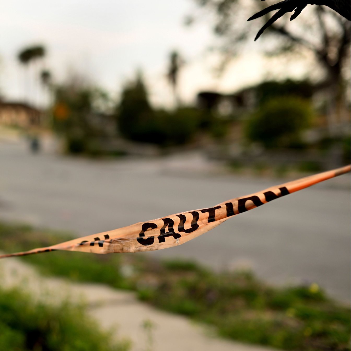 How True Crime Narratives Retraumatize Survivors and Distort Reality